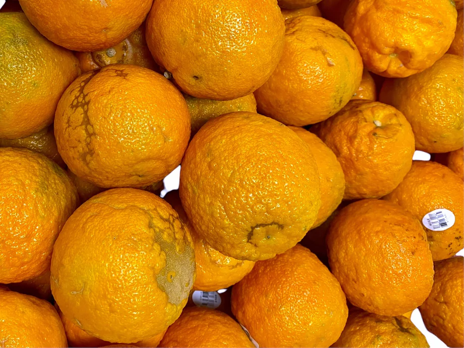 ORANGE, Bitter, Fresh, lb