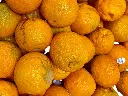 ORANGE, Bitter, Fresh, lb