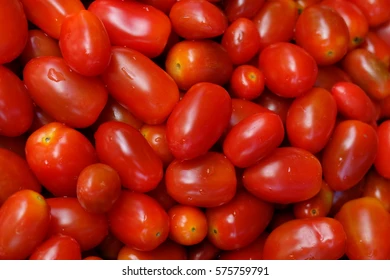 TOMATO, Bugalu, Fresh, lb 