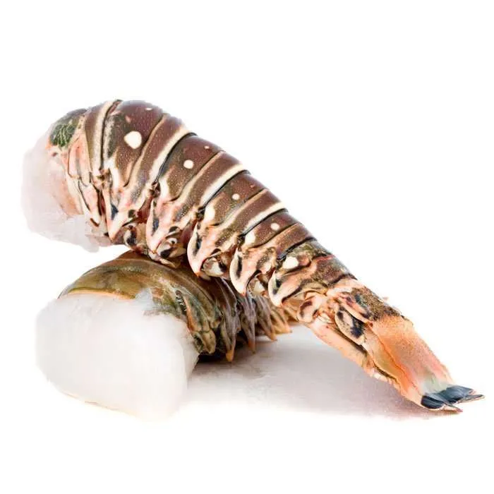 LOBSTER, Tail, Local, lb