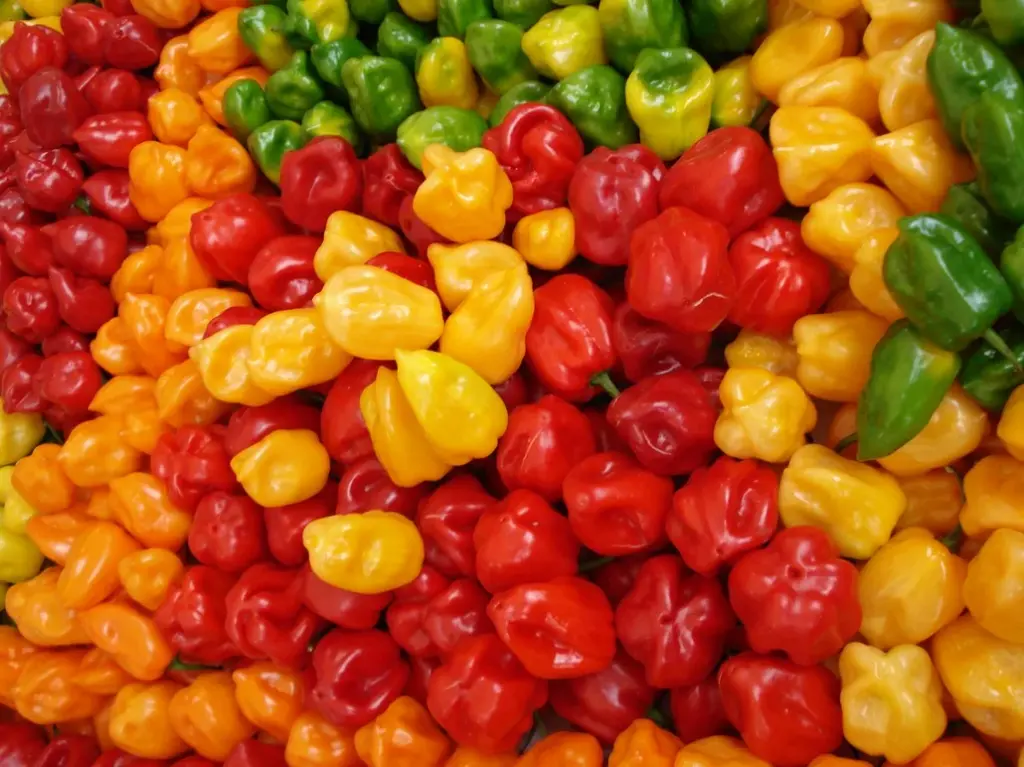 PEPPERS, Hot, Spicy, Fresh, lb