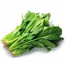 SPINACH, Fresh, lb