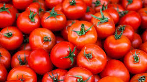 TOMATO, Fresh, lb
