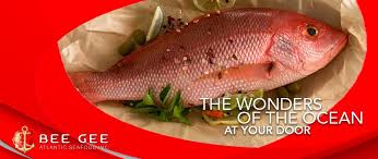 FISH, Snapper, Whole, 1-1.5#, Red, Frozen, Bee Bee, lb 