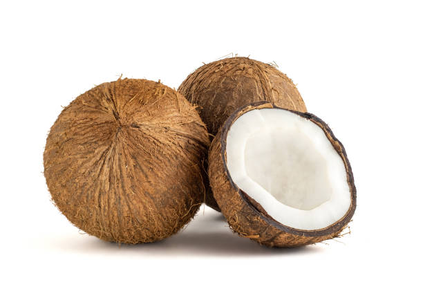 COCONUT, Whole, Seco, Fresh, lb