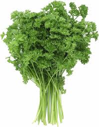 [5141-DR/LC] PARSLEY, Fresh, -lb