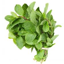 [5097-DR] MINT, Leaves, Fresh, lb 