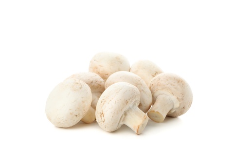 [5290-DR] MUSHROOM, Paris, Small, Fresh, pk