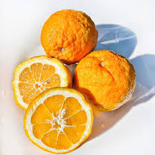 [5136-DR] ORANGE, Bitter, Fresh, lb
