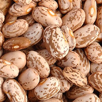 [5024-LC] BEANS, Pinto, Dry, lb