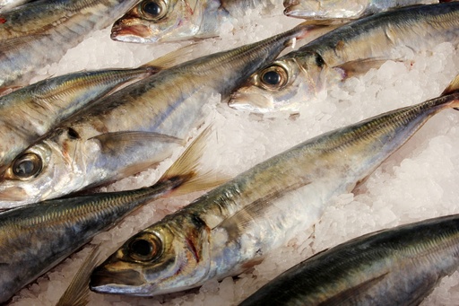 [4509-LC] FISH, Mackerel, Orizon, lb 