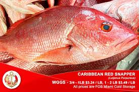 [4575-US] FISH, Snapper, Whole, Red, Frozen, Wild Caught, lb  