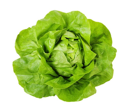 [5094-DR] LETTUCE, Butterhead, Fresh, lb