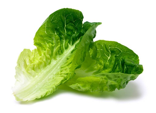 [5093-DR] LETTUCE, Romaine, Fresh, lb